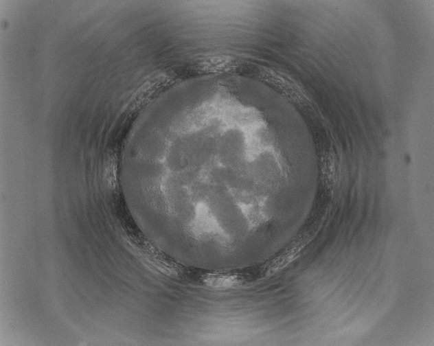 X0000072520602200608041534