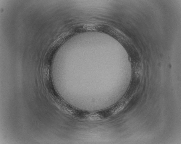 X0000072520603200608041534