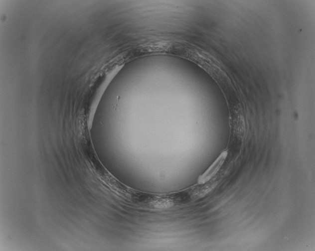 X0000072520604200608041534