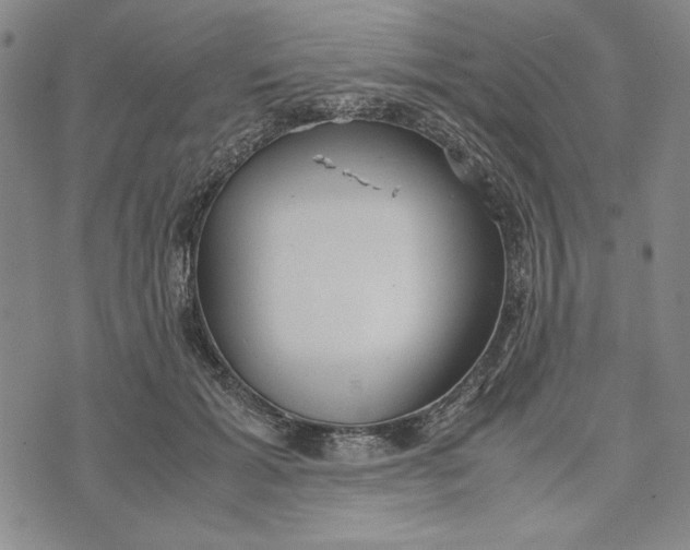 X0000072520605200608041534