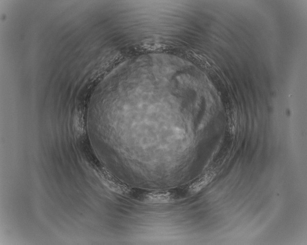 X0000072520606200608041534