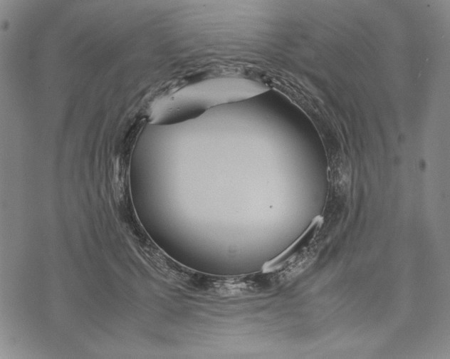 X0000072520607200608041534