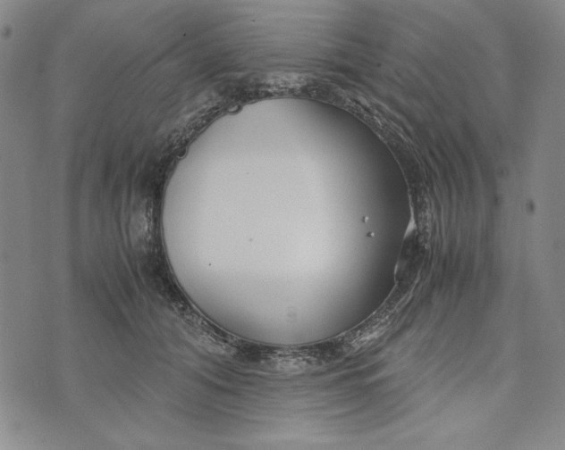 X0000072520608200608041534