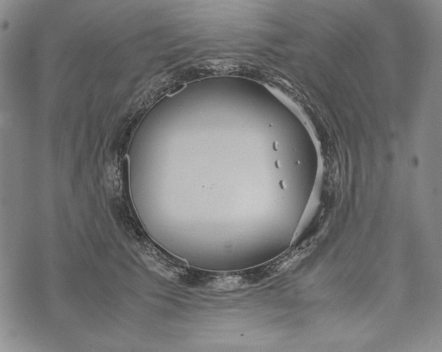 X0000072520609200608041534