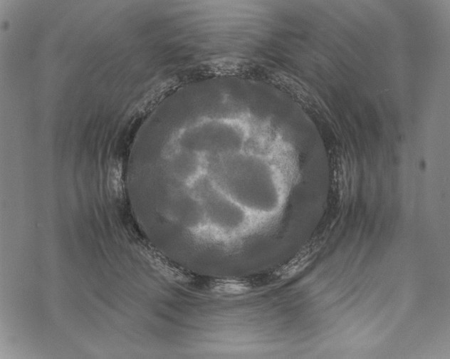 X0000072520610200608041534