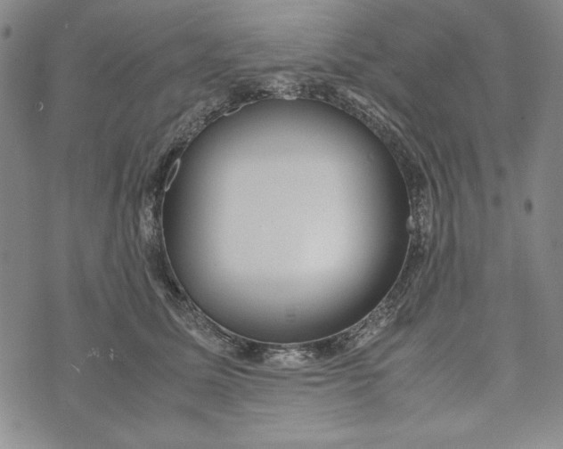 X0000072520611200608041534