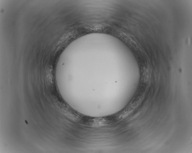 X0000072520612200608041534