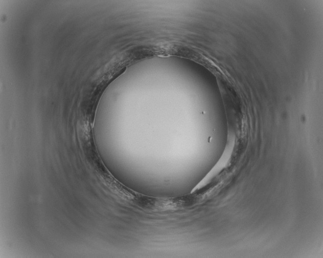 X0000072520613200608041534