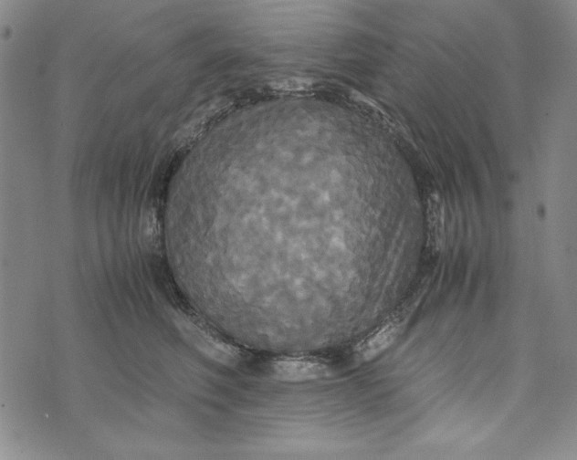 X0000072520614200608041534