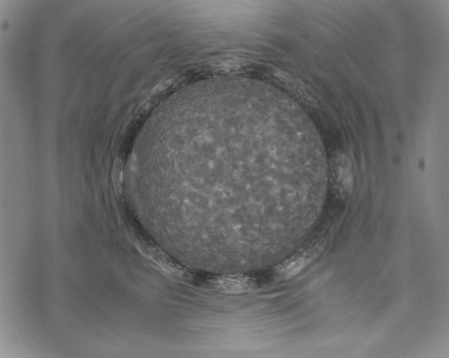 X0000072520615200608041533