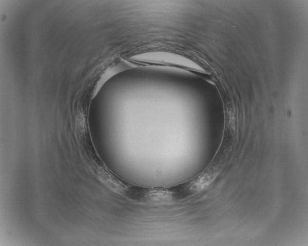 X0000072520617200608041533