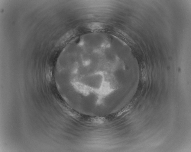 X0000072520618200608041533