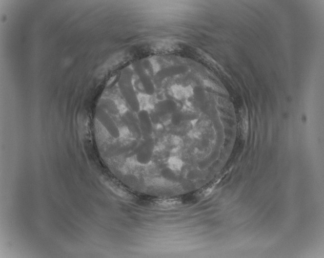 X0000072520619200608041533