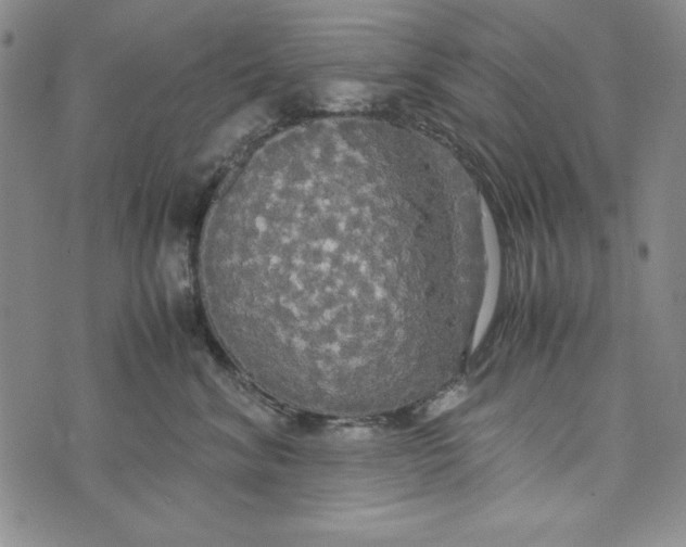 X0000072520620200608041533