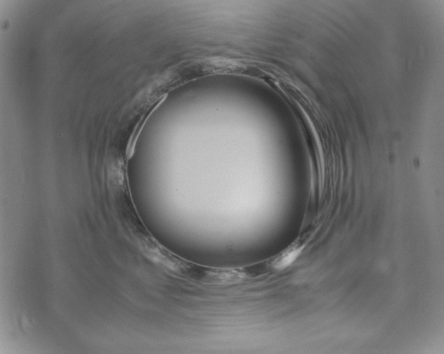 X0000072520621200608041533