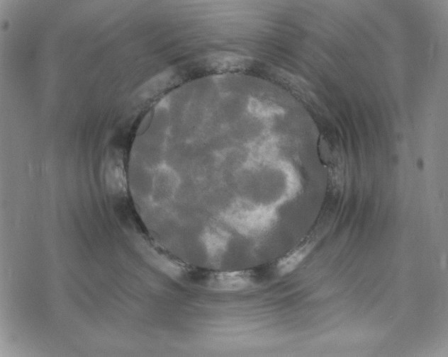 X0000072520622200608041533