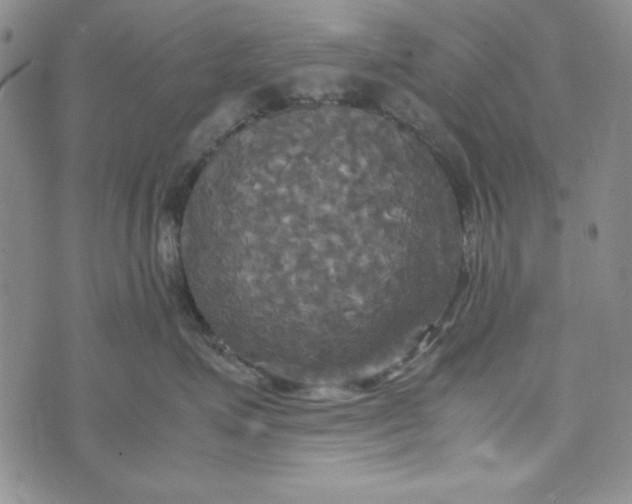 X0000072520623200608041533