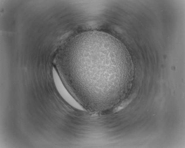 X0000072520624200608041533