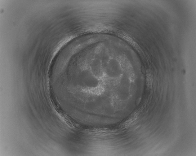 X0000072520626200608041533