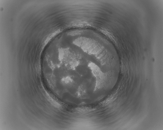 X0000072520630200608041533