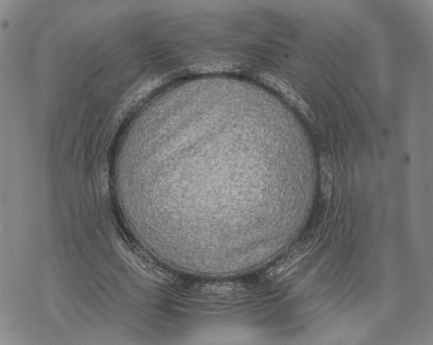 X0000072520631200608041533