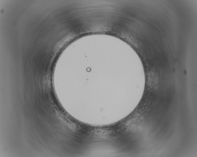 X0000072520632200608041533