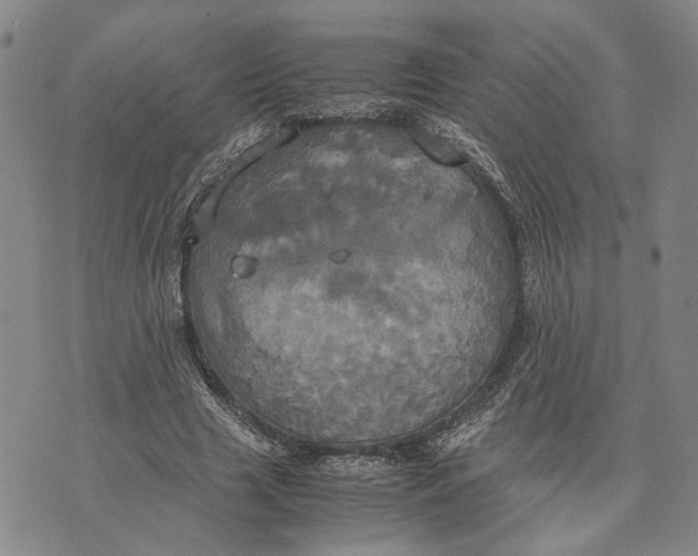 X0000072520633200608041533