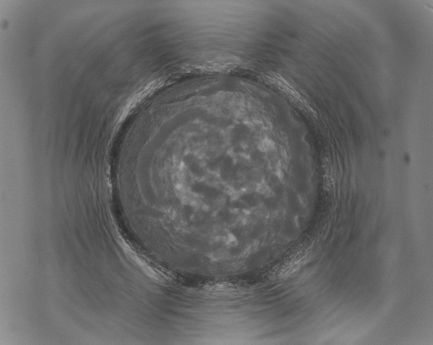 X0000072520634200608041533