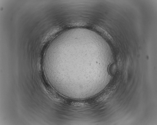 X0000072520635200608041533