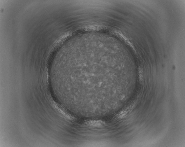 X0000072520637200608041533