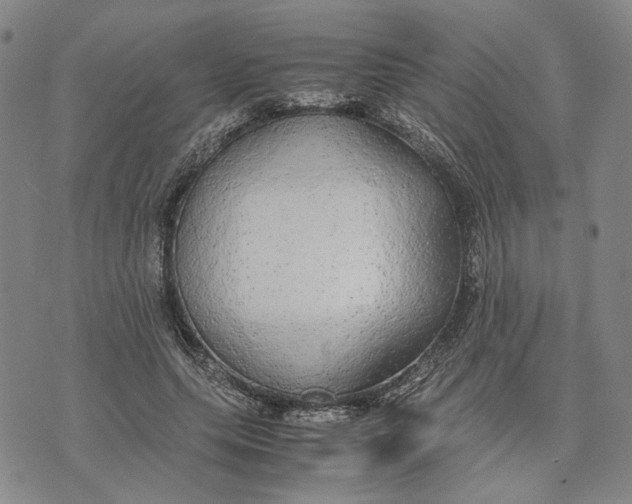 X0000072520639200608041533