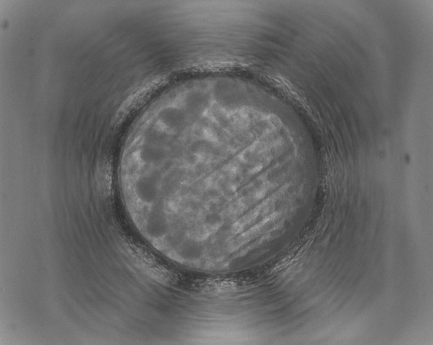 X0000072520640200608041533