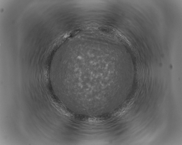 X0000072520641200608041533