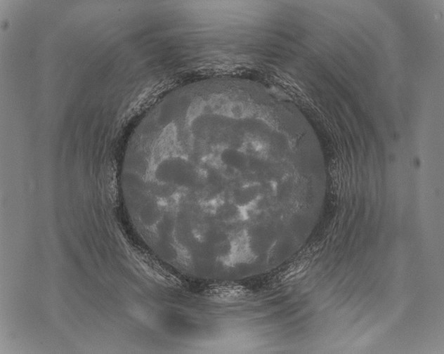 X0000072520642200608041533