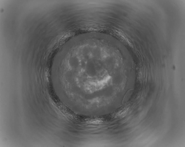 X0000072520643200608041533