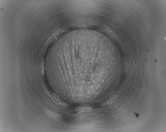 X0000072520644200608041533