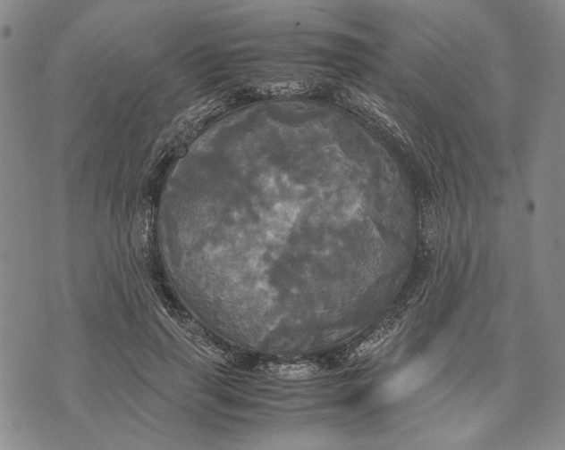 X0000072520645200608041533