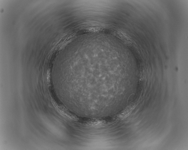 X0000072520646200608041533