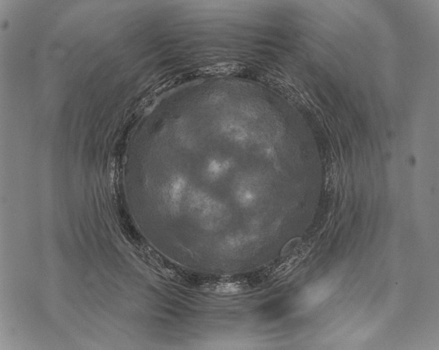 X0000072520647200608041533