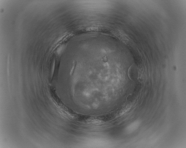 X0000072520648200608041533