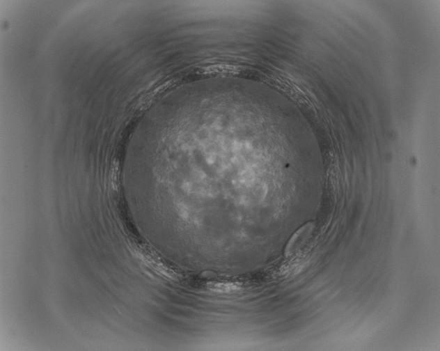 X0000072520649200608041533