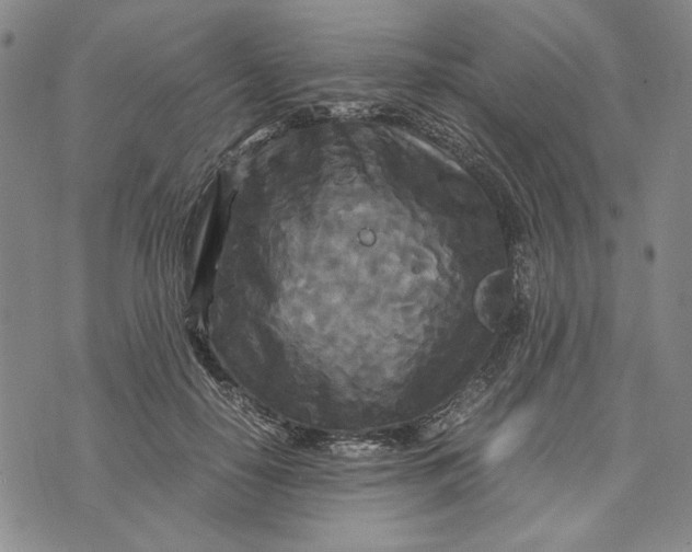 X0000072520650200608041533