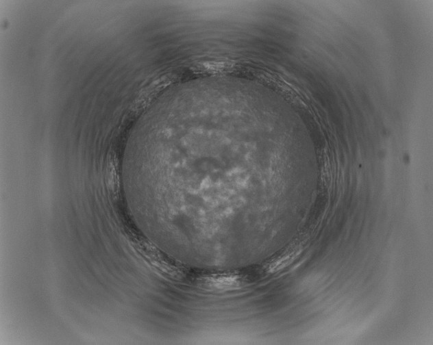 X0000072520651200608041533