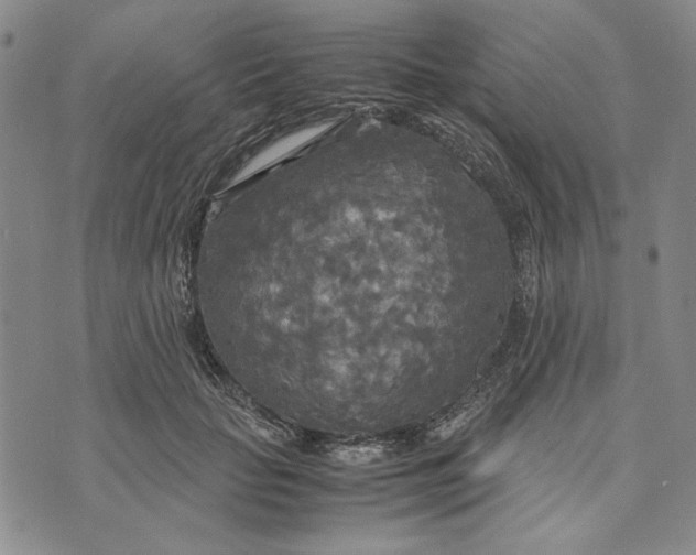 X0000072520653200608041533