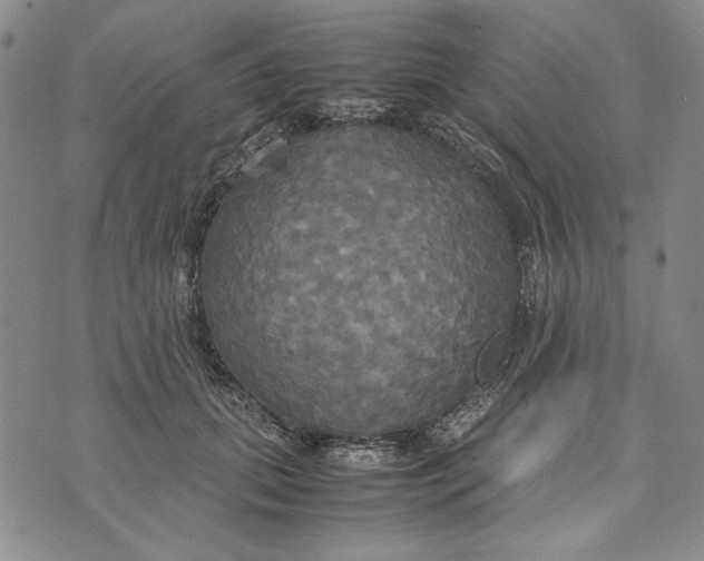 X0000072520655200608041533