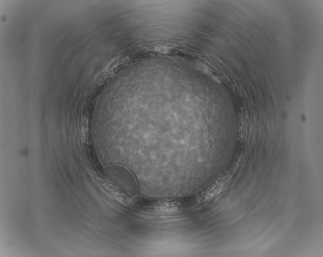 X0000072520656200608041533