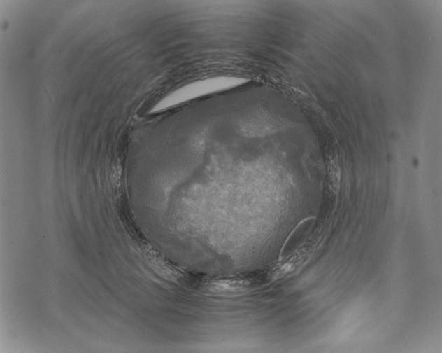 X0000072520657200608041533