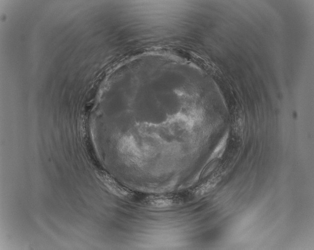 X0000072520658200608041533