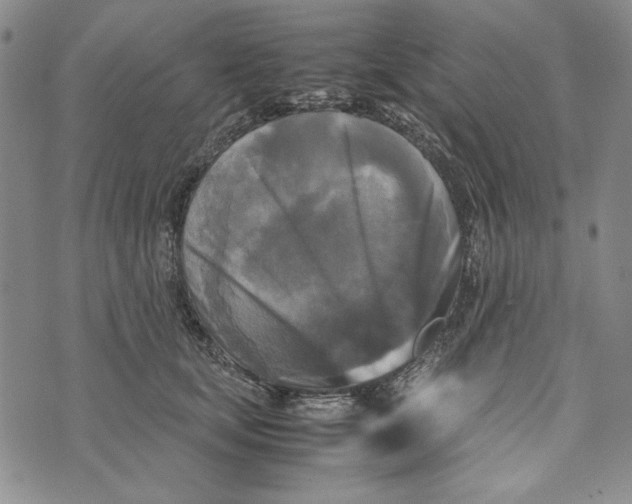 X0000072520659200608041533