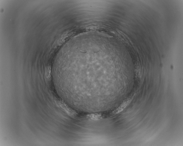 X0000072520660200608041533